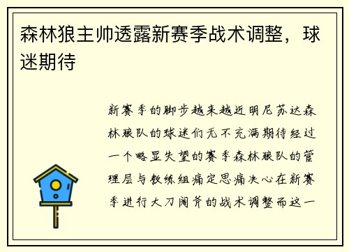 森林狼主帅透露新赛季战术调整，球迷期待