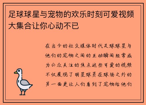 足球球星与宠物的欢乐时刻可爱视频大集合让你心动不已