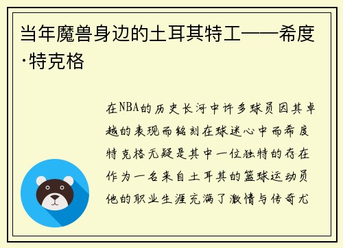 当年魔兽身边的土耳其特工——希度·特克格